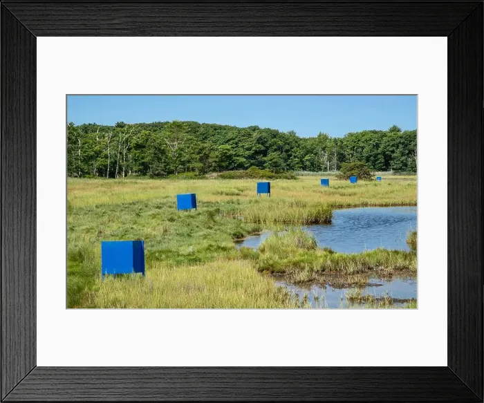 Framed Print : 2ykxpxb Framed Print : 2ykxpxb