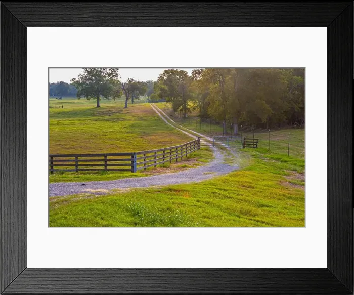 Framed Print : 2ykyh9w Framed Print : 2ykyh9w