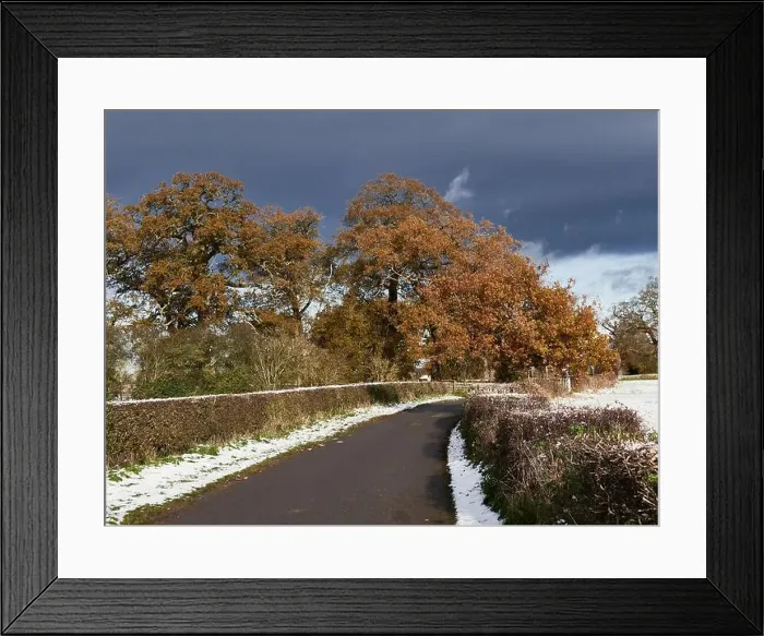 Framed Print : 2ym36rw Framed Print : 2ym36rw