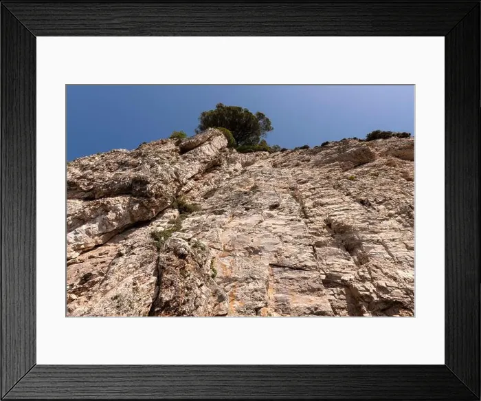 Framed Print : 2ym6wg1 Framed Print : 2ym6wg1