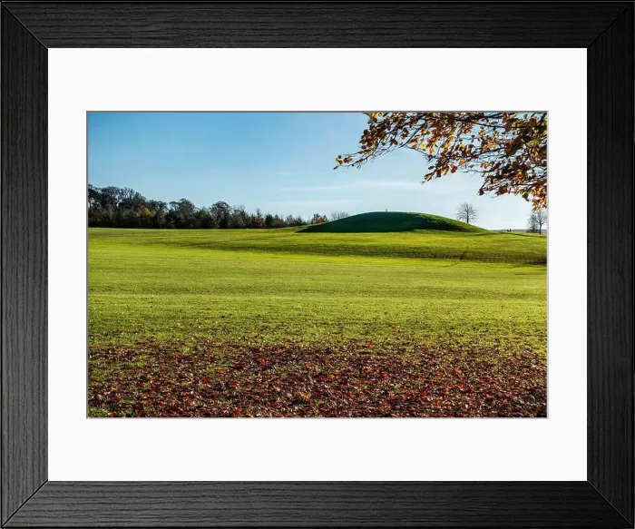 Framed Print : 2ymf5wk Framed Print : 2ymf5wk