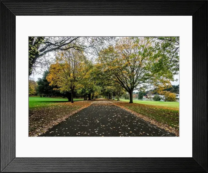 Framed Print : 2ymf5wr Framed Print : 2ymf5wr