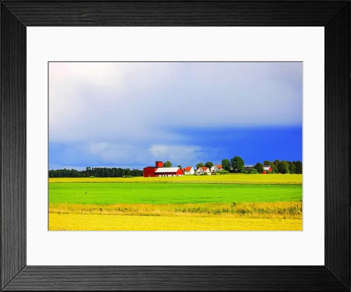 Framed Print : 2ymg1na