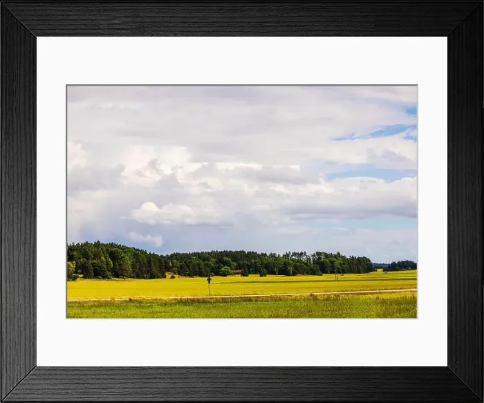 Framed Print : 2ymg1tc Framed Print : 2ymg1tc