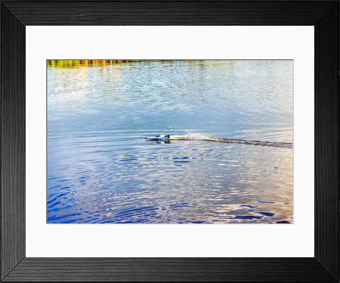 Framed Print : 2ymg234 Framed Print : 2ymg234