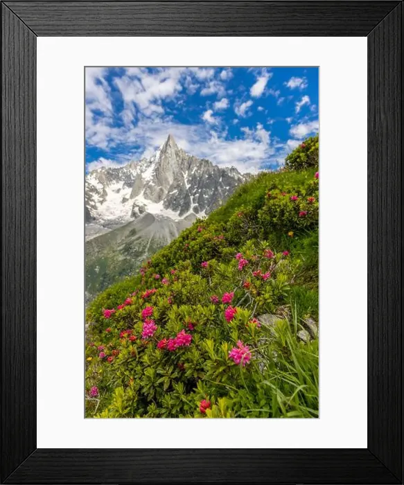 Framed Print : 2ymh2r2 Framed Print : 2ymh2r2