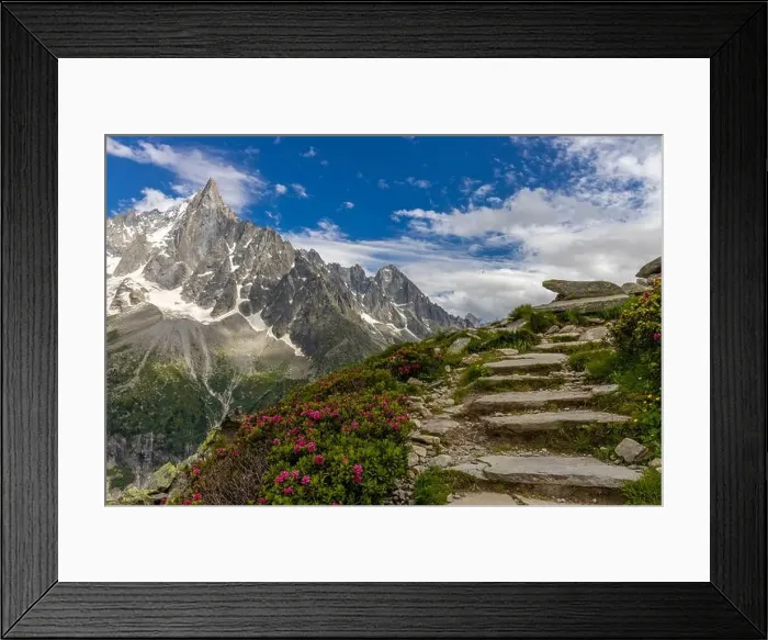 Framed Print : 2ymh4h2 Framed Print : 2ymh4h2
