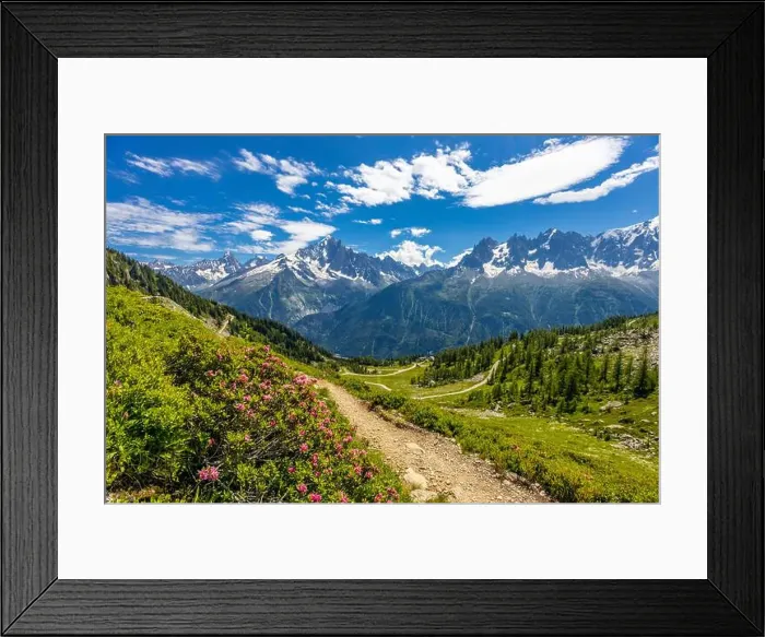 Framed Print : 2ymh8f3 Framed Print : 2ymh8f3
