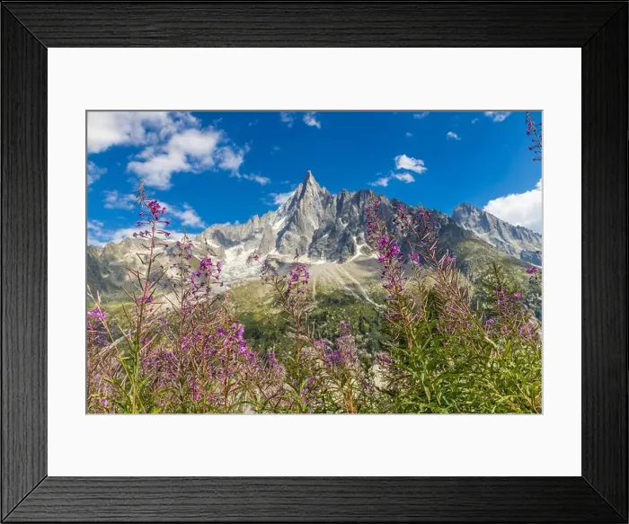 Framed Print : 2ymhmtr Framed Print : 2ymhmtr