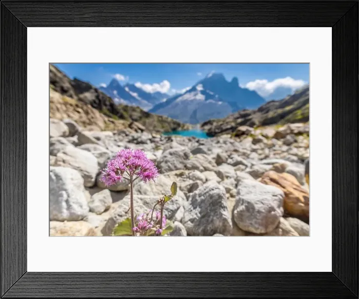 Framed Print : 2ymhp4h Framed Print : 2ymhp4h
