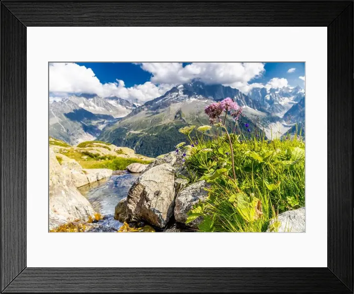 Framed Print : 2ymhpty Framed Print : 2ymhpty