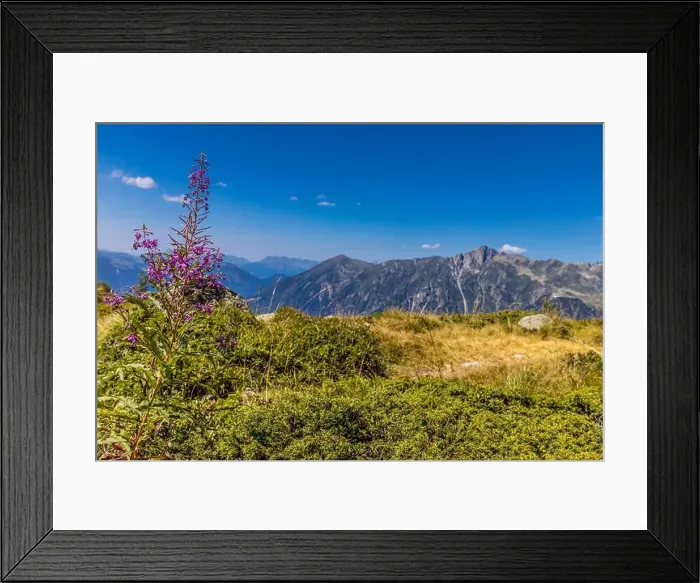 Framed Print : 2ymn6ek Framed Print : 2ymn6ek