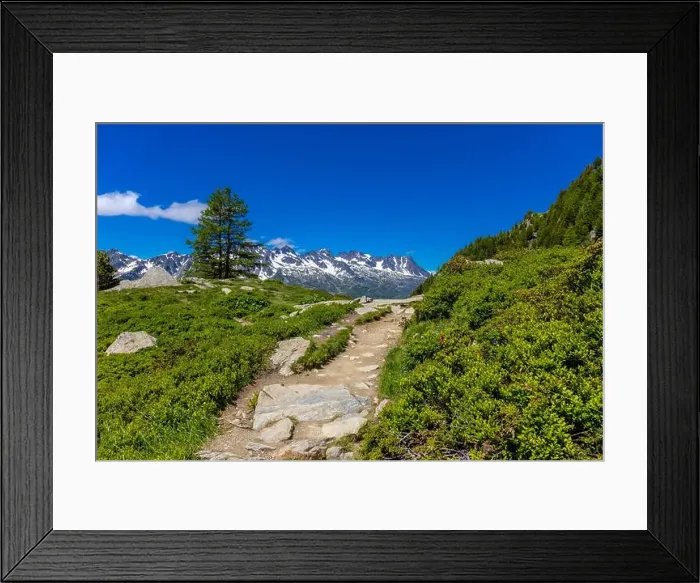 Framed Print : 2ymn79m Framed Print : 2ymn79m