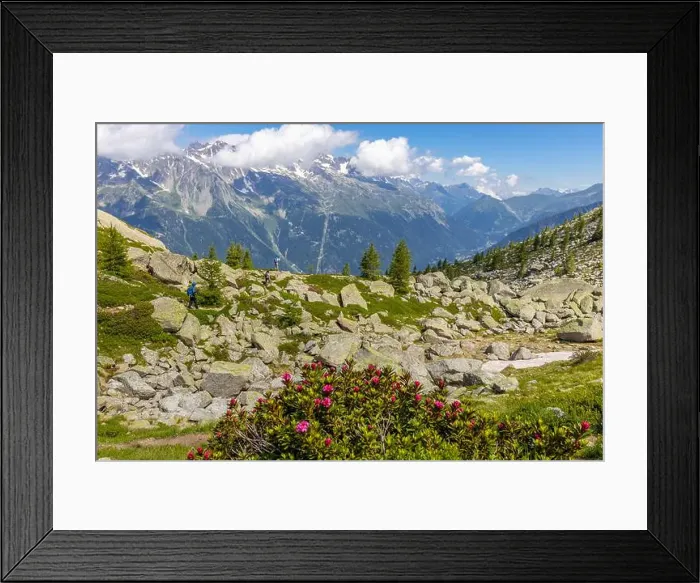 Framed Print : 2ymn7b8 Framed Print : 2ymn7b8