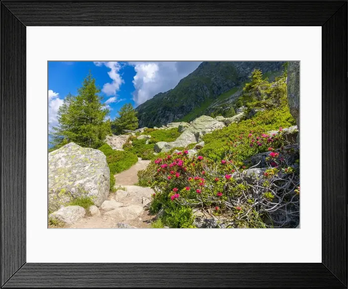 Framed Print : 2ymn7bw Framed Print : 2ymn7bw