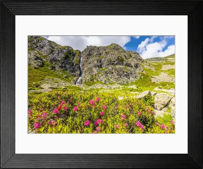 Framed Print : 2ymn7e5 Framed Print : 2ymn7e5