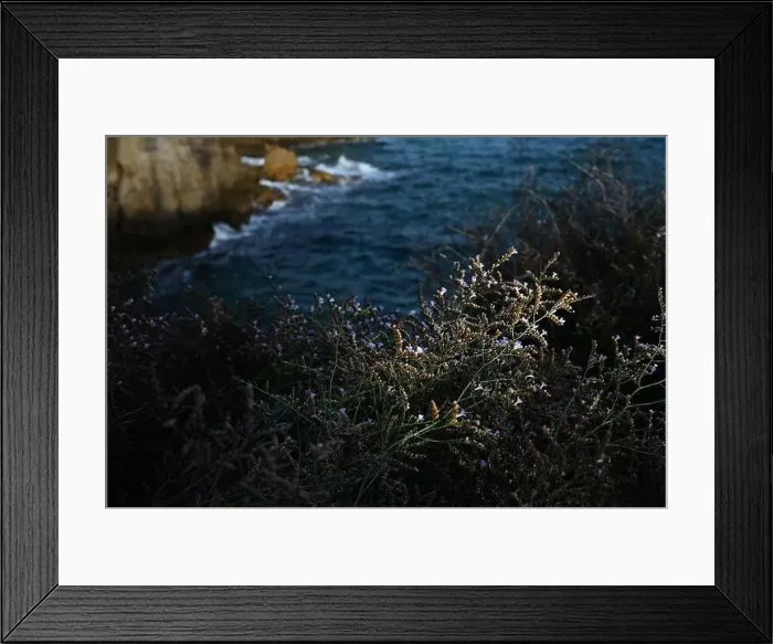 Framed Print : 2ymp1bj