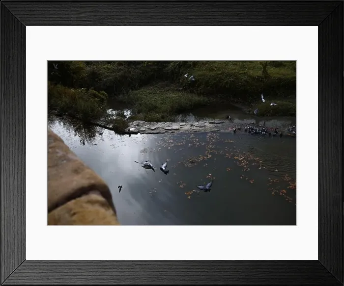 Framed Print : 2ymp1k5 Framed Print : 2ymp1k5