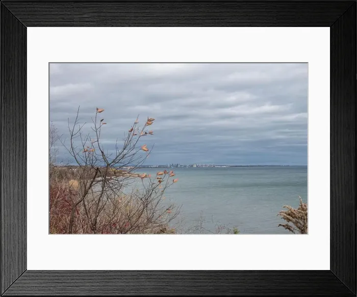 Framed Print : 2ymrd04 Framed Print : 2ymrd04