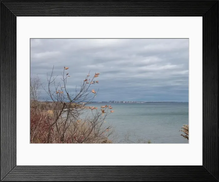 Framed Print : 2ymrd0a Framed Print : 2ymrd0a
