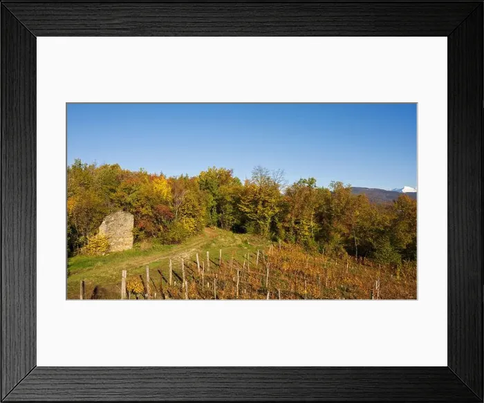 Framed Print : 2yn35ca Framed Print : 2yn35ca