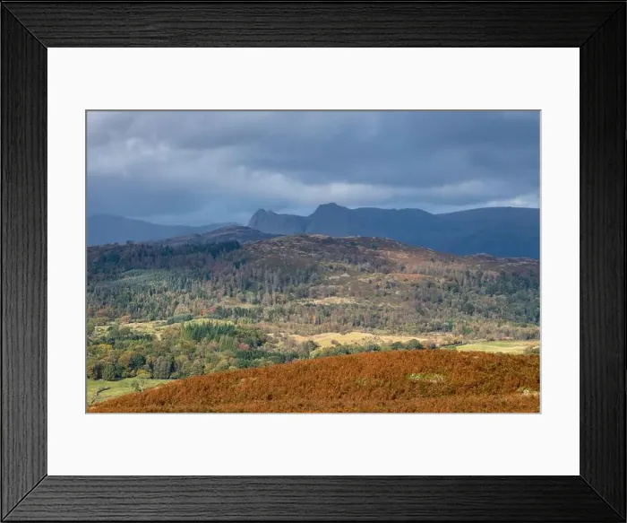 Framed Print : 2yn62rm Framed Print : 2yn62rm