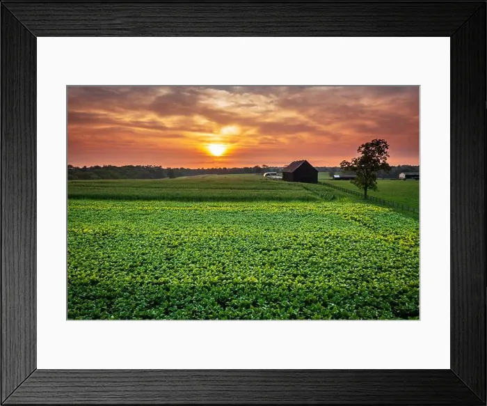 Framed Print : 2ynd8at Framed Print : 2ynd8at