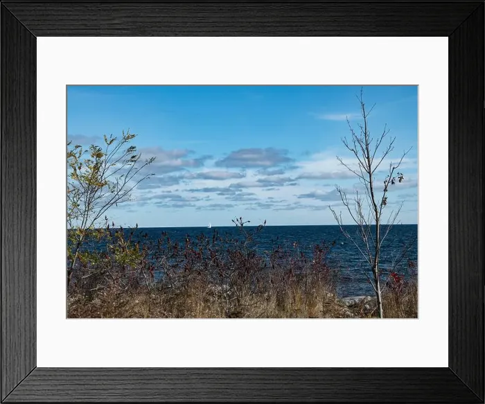 Framed Print : 2ynewf2 Framed Print : 2ynewf2