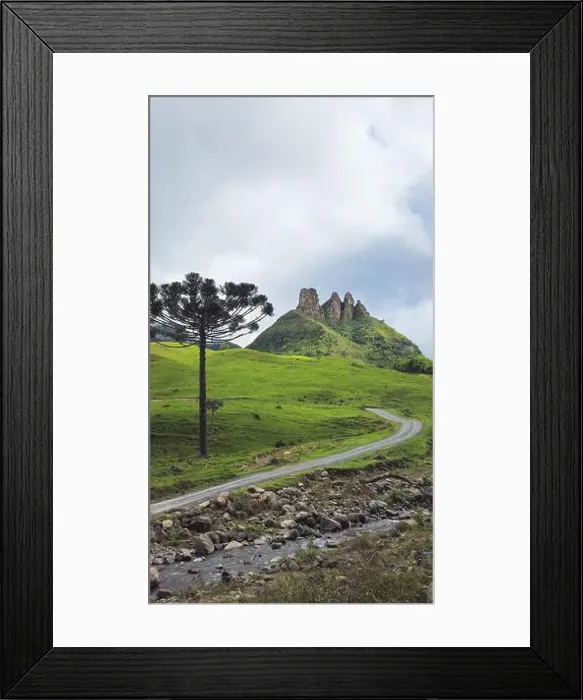 Framed Print : 2ynf5kp Framed Print : 2ynf5kp