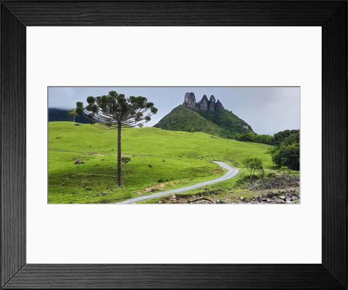Framed Print : 2ynf5kr Framed Print : 2ynf5kr
