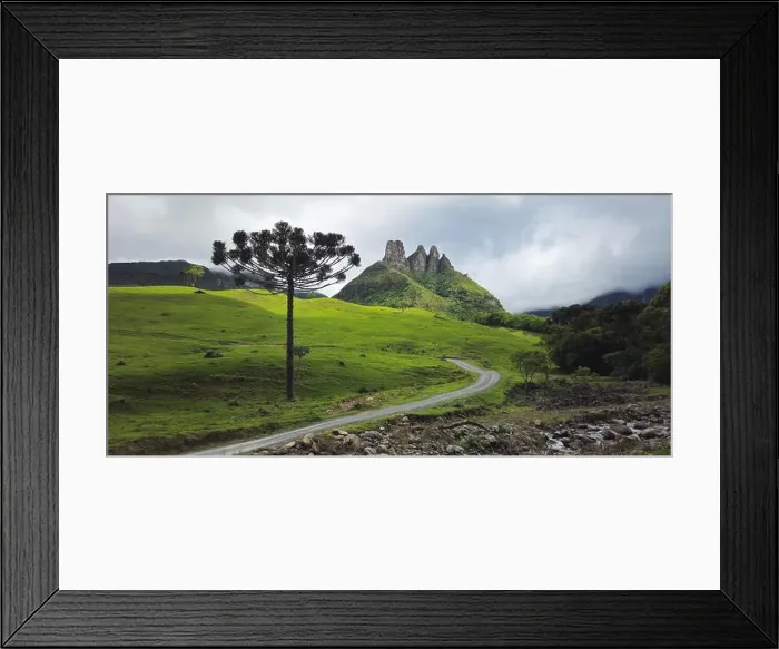 Framed Print : 2ynf5kw Framed Print : 2ynf5kw