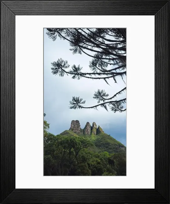 Framed Print : 2ynf5m0 Framed Print : 2ynf5m0