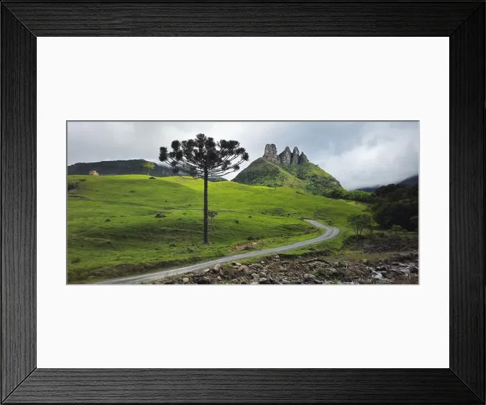 Framed Print : 2ynf5m4 Framed Print : 2ynf5m4