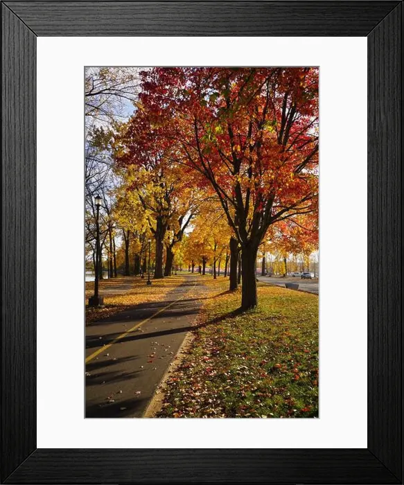 Framed Print : 2ynjbng Framed Print : 2ynjbng