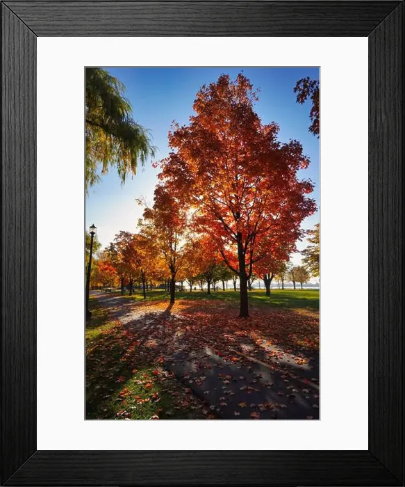 Framed Print : 2ynjbnh Framed Print : 2ynjbnh