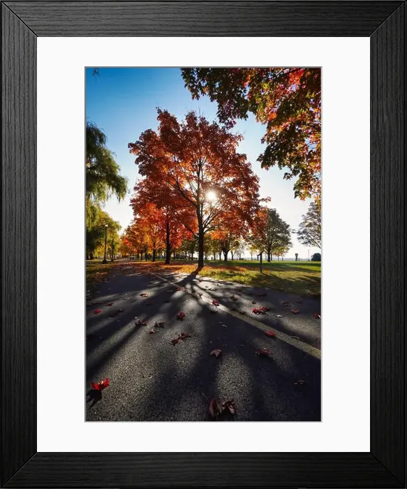 Framed Print : 2ynjbnk Framed Print : 2ynjbnk