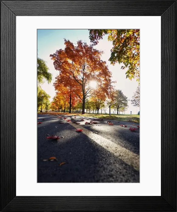 Framed Print : 2ynjbnn Framed Print : 2ynjbnn