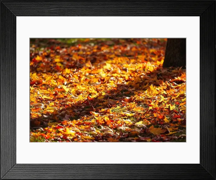 Framed Print : 2ynjbnw Framed Print : 2ynjbnw