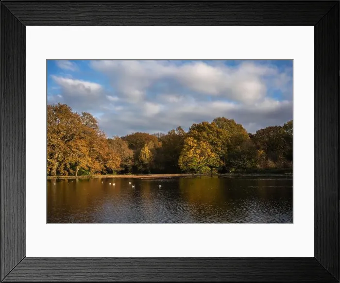 Framed Print : 2ynp2pj