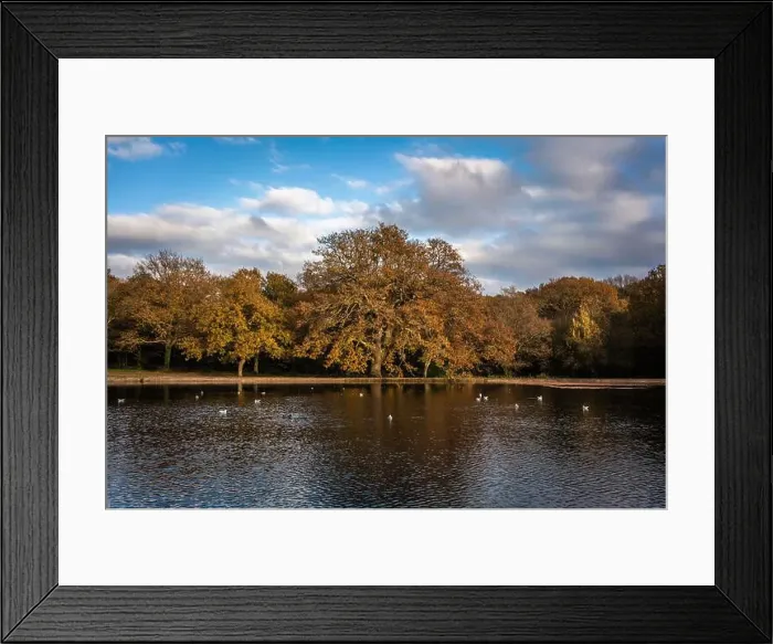 Framed Print : 2ynp2wj Framed Print : 2ynp2wj