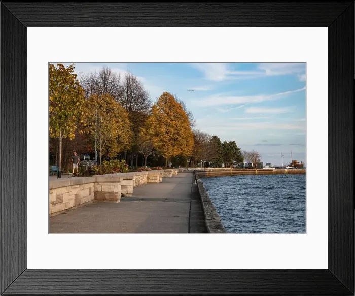Framed Print : 2ynrt5c Framed Print : 2ynrt5c
