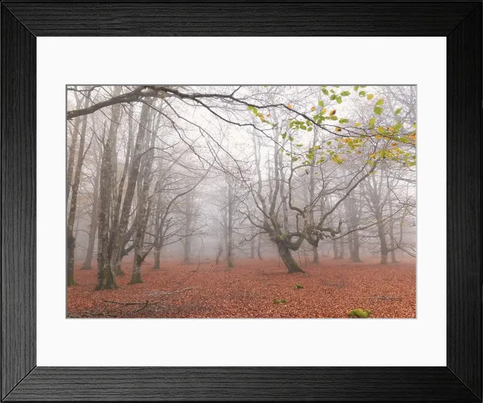Framed Print : 2ynw96e Framed Print : 2ynw96e