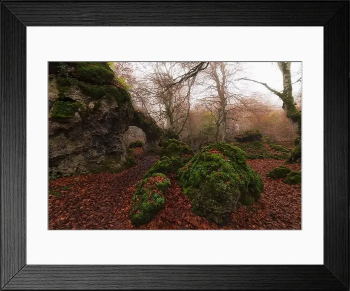 Framed Print : 2ynw989 Framed Print : 2ynw989