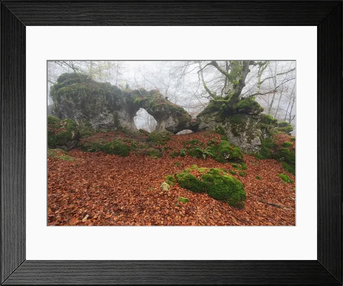 Framed Print : 2ynw9d9 Framed Print : 2ynw9d9