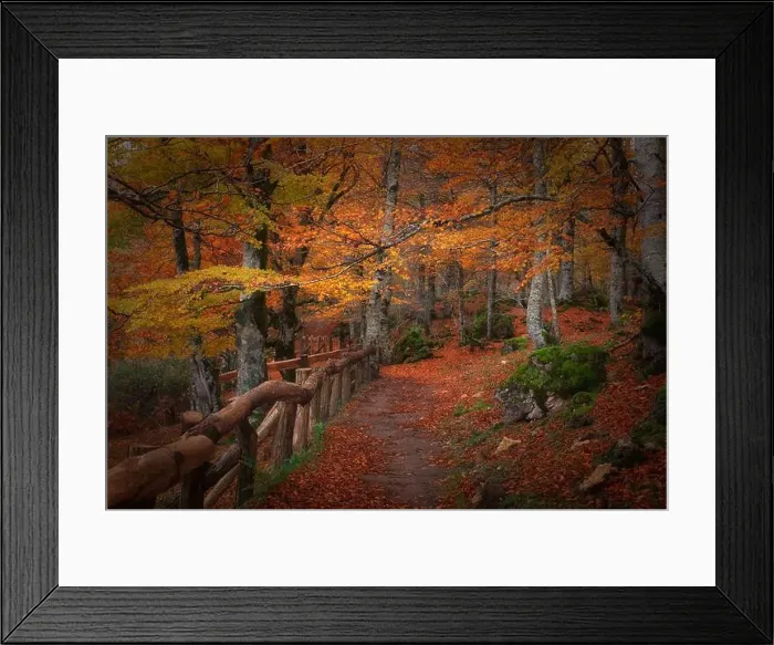 Framed Print : 2ynw9p0 Framed Print : 2ynw9p0
