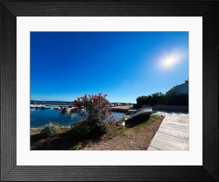 Framed Print : 2ynwacd Framed Print : 2ynwacd
