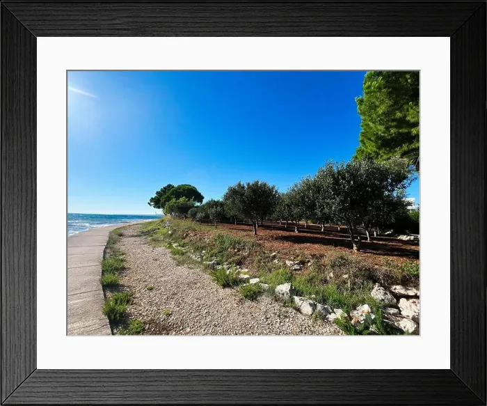 Framed Print : 2ynwb0t Framed Print : 2ynwb0t
