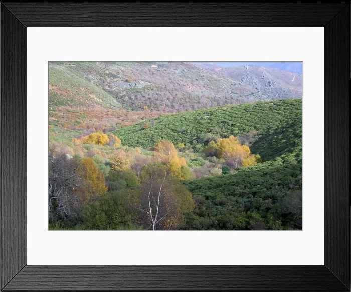 Framed Print : 2ynxd8d Framed Print : 2ynxd8d