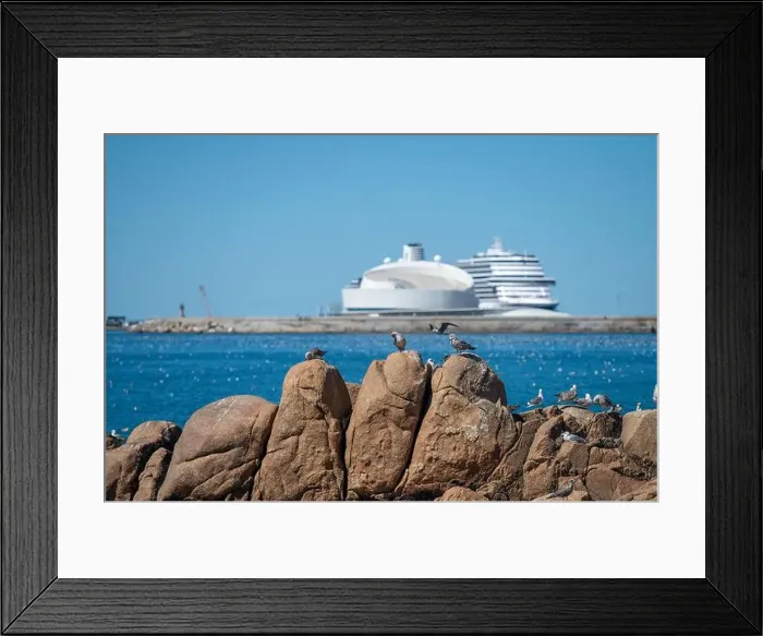 Framed Print : 2yny305 Framed Print : 2yny305
