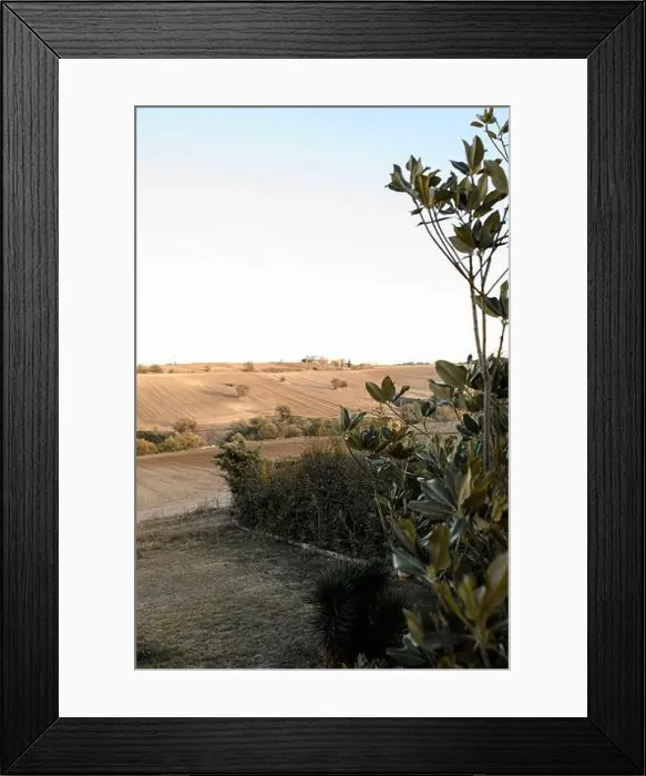 Framed Print : 2ynya7b Framed Print : 2ynya7b